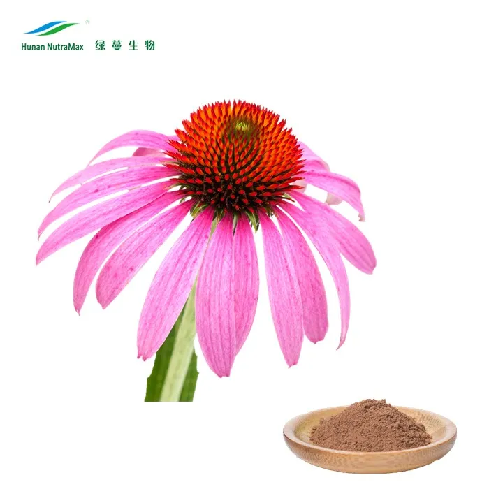 Echinacea purpurea Herb