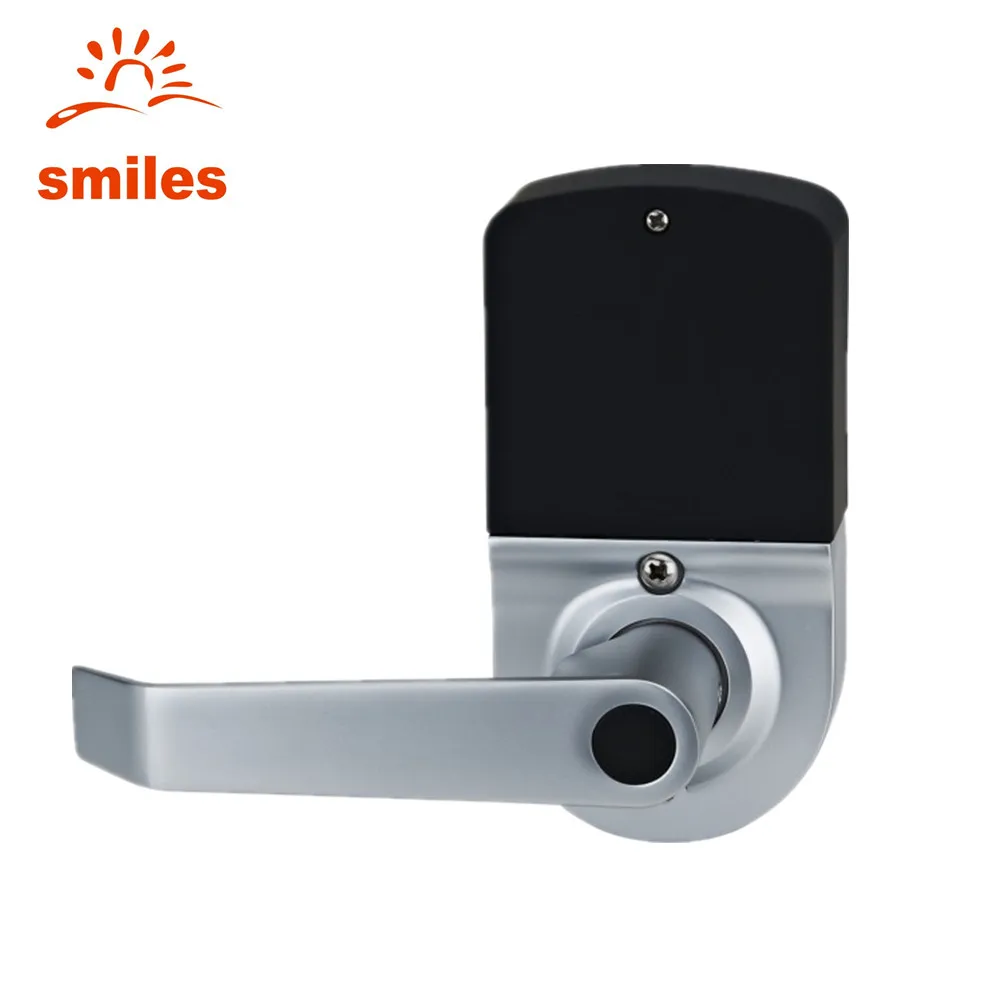 Intelligent Fingerprint Door Lock With Touch Codes and Mechanical Keys Functions for USA Market