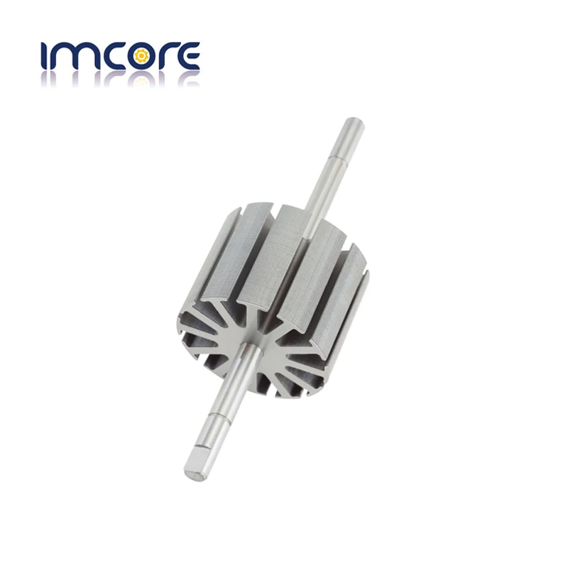 Brushless Motor Rotor Stator Lamination/DC Motor Lamination/motor Stator