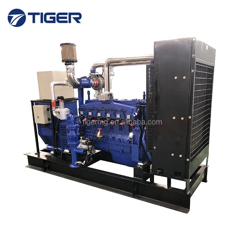 Combined Heat and Power Chp Boiler 100kw Biogas Generator Price