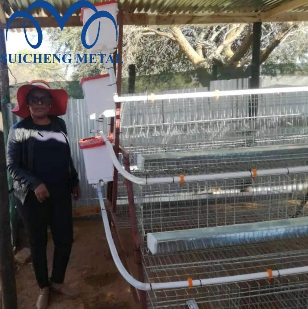 Factory Chicken Cages Layer 128 Poultry Farming Chicken Cage for Tanzania