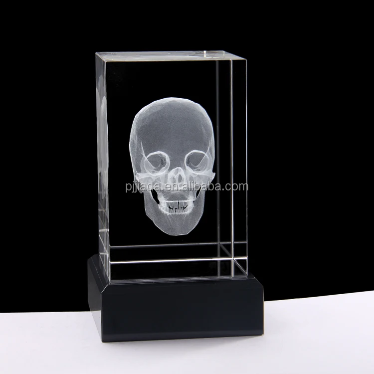 Customized 3d Crystal Engraving Human Cranium Head Heart Anatomical