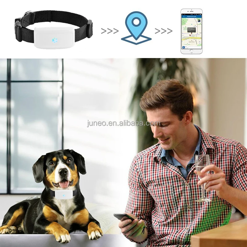 TKSTAR su gecirmez TK911 pet yaka gps tracker mini kopek icin kedi hayvanlar icin guvenli Alibaba