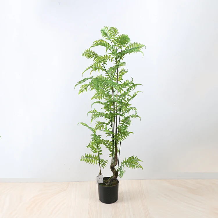 Source 批发多类型绿色盆栽蕨类植物对室内装饰on M Alibaba Com