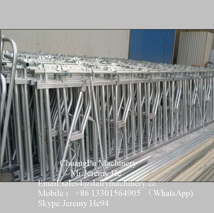 Hotgalvanized Steel Headlock For Cow/goat /sheep Dairy Farm Buy