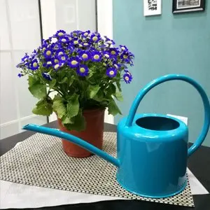 Металлическая овальная трубка для полива