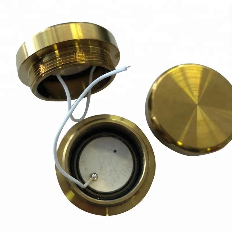 PZT пьезо-керамический диск для приложения красоты