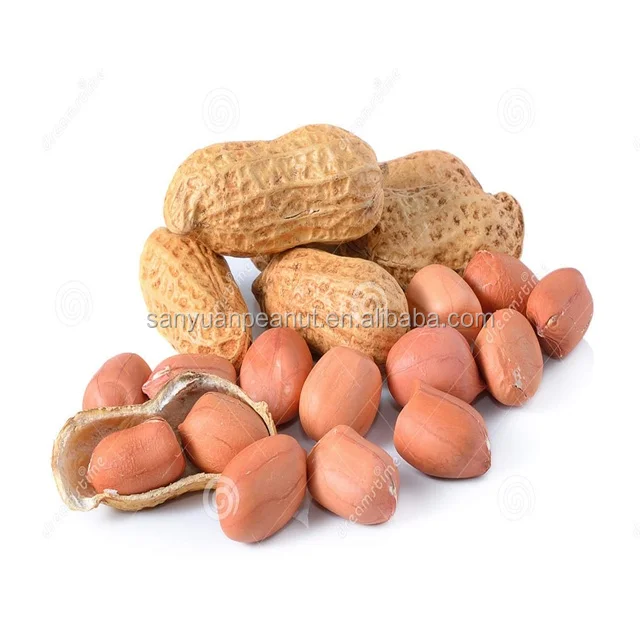 Большие размеры bold арахисовое ядро арахиса покупателей