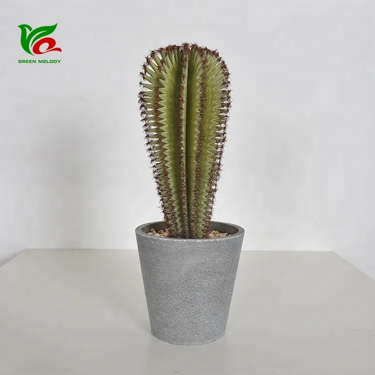 Soft Plastic 24cm Decorative Cactus Office Desk Ornament Baby Cactus Plant Buy Red Cactus Plant Evergreen Ornamental Plants Cactus Plants Decor Product On Alibaba Com