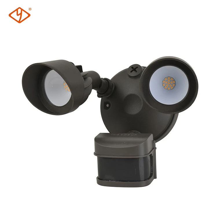 dual head motion sensor light