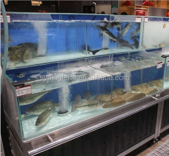 Dingfeng Customized Eco Supermarket Or Restaurant 2 Layer Chiller Or Heater Protein Skimmer Live Fish Tank Aquarium Buy Nile Perch Maw Jade Perch Flounder Fish Price Pacific Fillet Arrowtooth Frozen Pike Perch