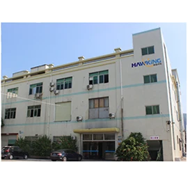 Dongguan Hawking Led Lighting Co., Ltd. 1