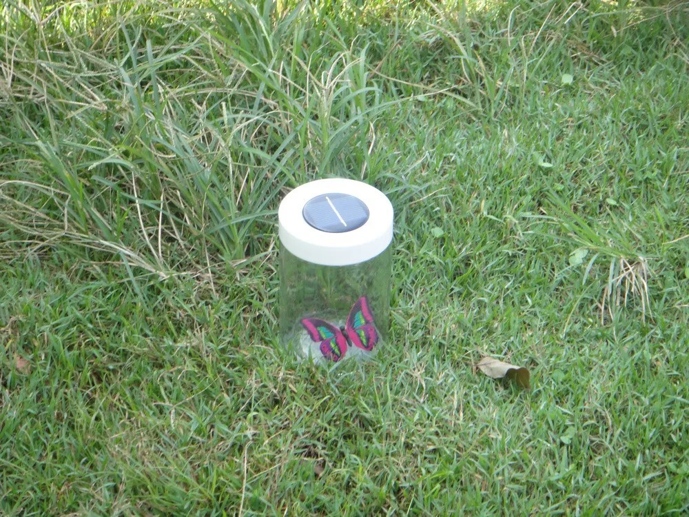 Игрушка на солнечных батареях-анимационная бабочка в банке