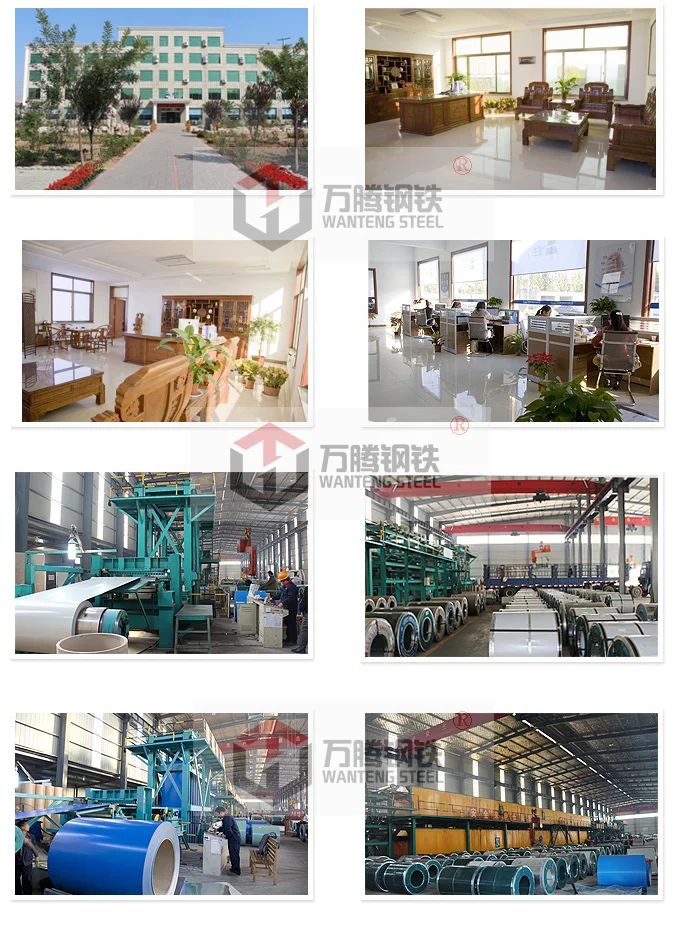 Steel Coil- Galvanized, Pre-painted,GI,GL,PPGI,PPG