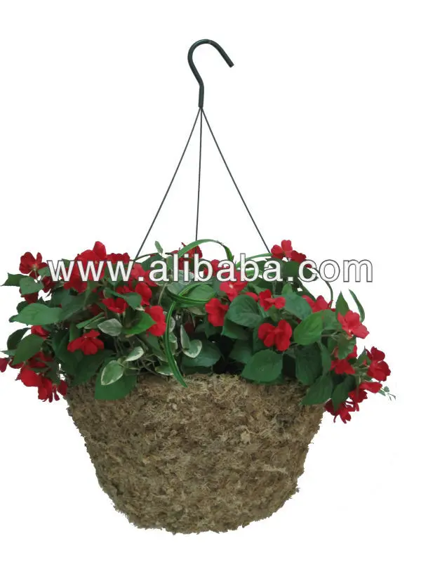Sphagnum moss hanging basket Green Moss planter