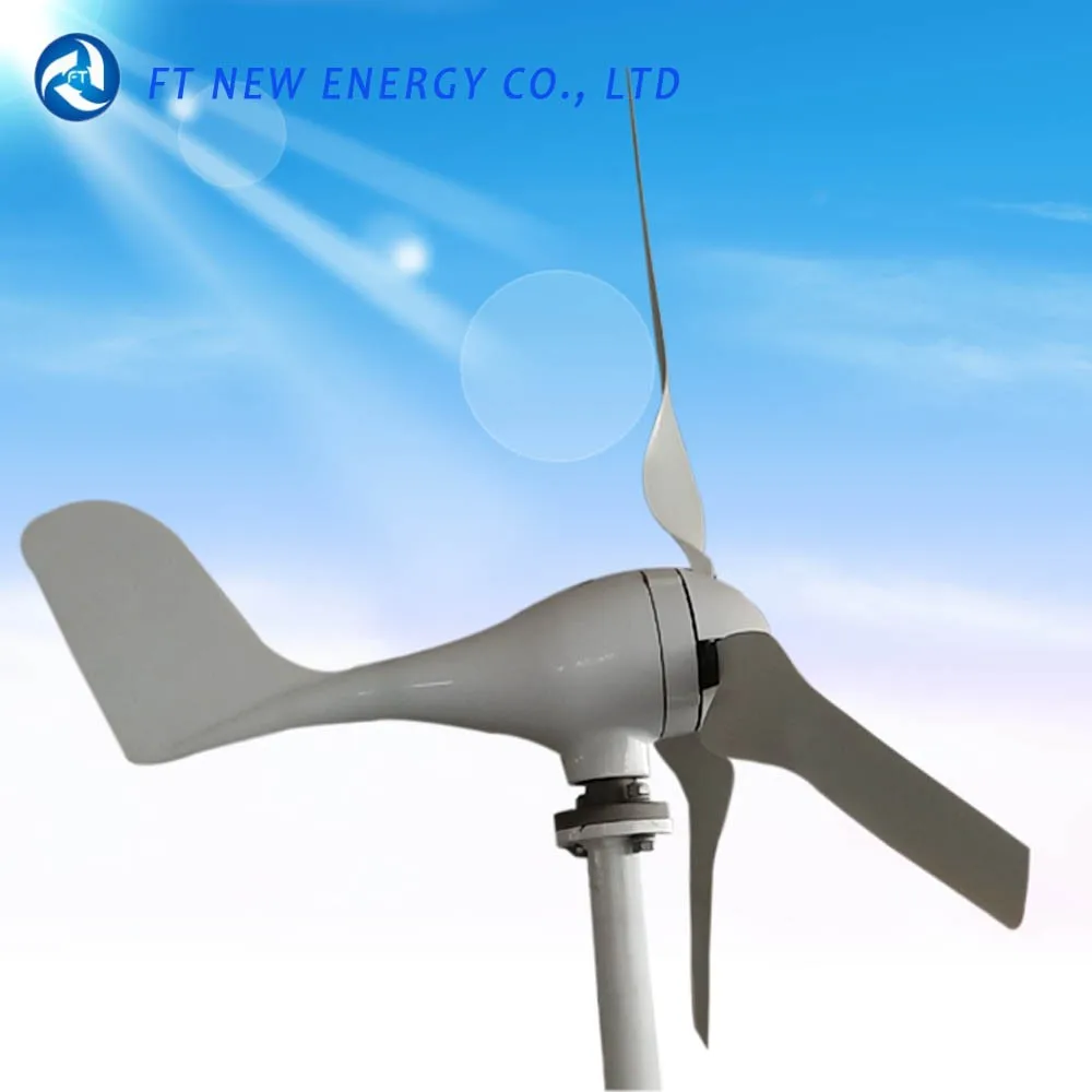 100w 12v 24v Portable Camping Wind Power Generator - Ft-100s