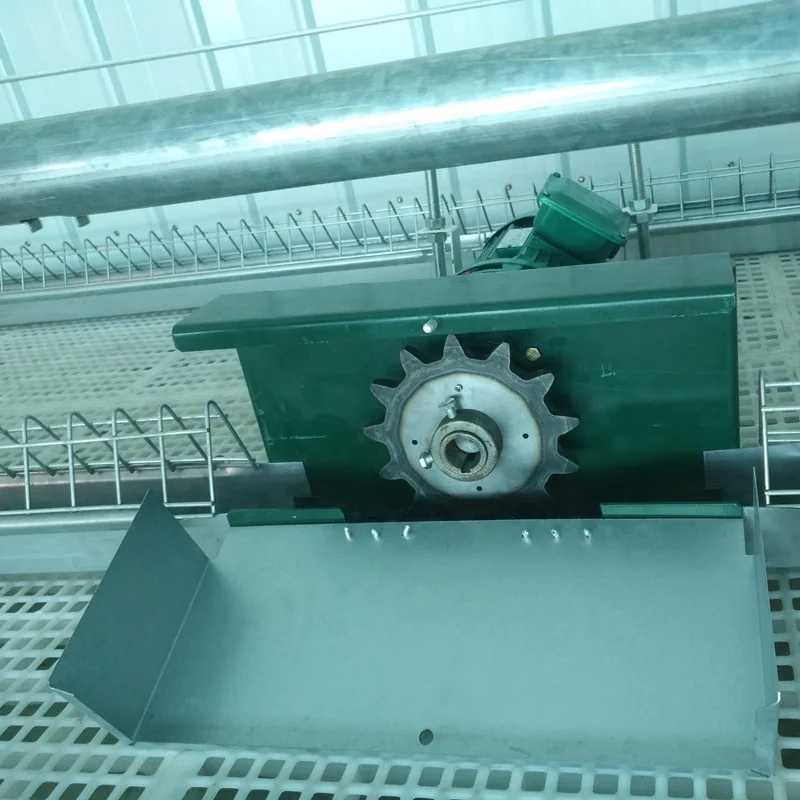 Poultry Automatic Feeder Chain Feeding System for Broiler and Breeder Hens