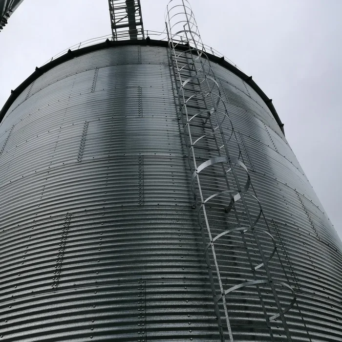 1000t Steel Structure Grain Storage Silo Factory Price