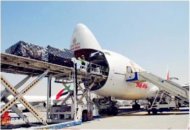 DHL fedex ups tnt