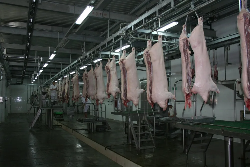 Complete project of small pig slaughtering production line Pig slaughterhouse equipment Pig slaughtering equipment for small slaughterhouse