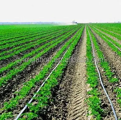 Greenhouse Farmland Drip Irrigation System Design Buy Greenhouse Drip Irrigation System Farmland Irrigation System Irrigation System Design Product On Alibaba Com