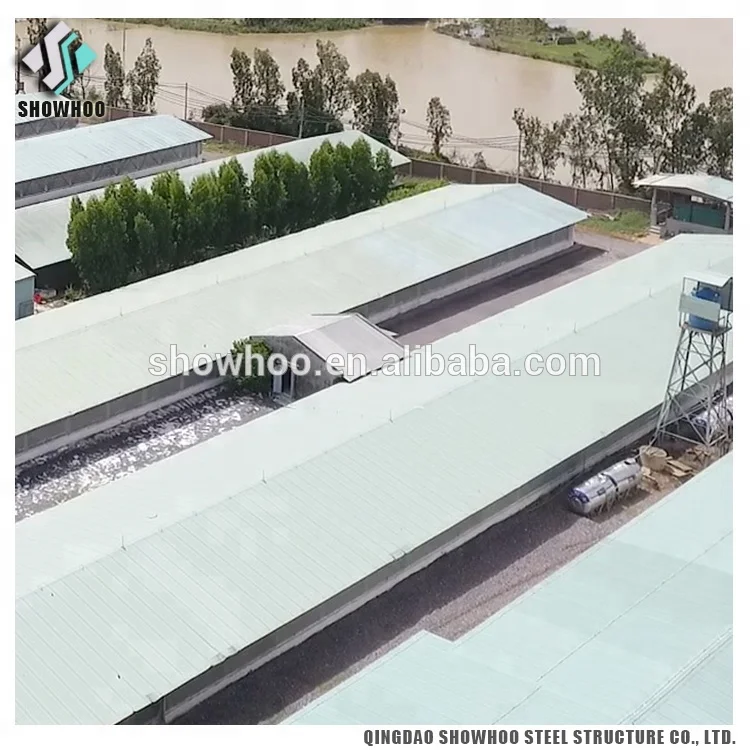 Low Cost Steel Structure Architectural Shed Design Poultry Farm House Construction
