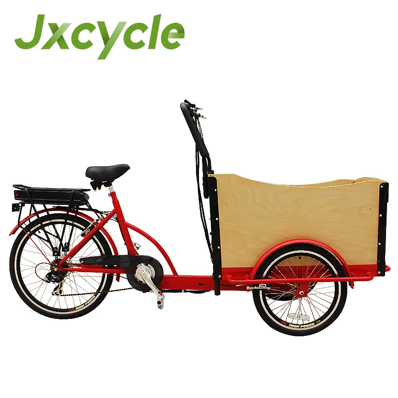 electric bike with cargo carrier