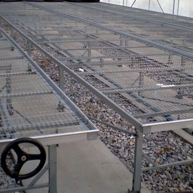 Ebb and Flow Rolling Bench for Seedling in Greenhouse