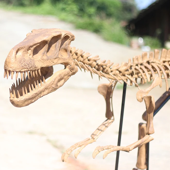 Fóssil de dinossauro dos desenhos animados t-rex