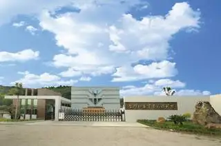 Shantou Sunny Toys Industrial Co., Ltd. 1