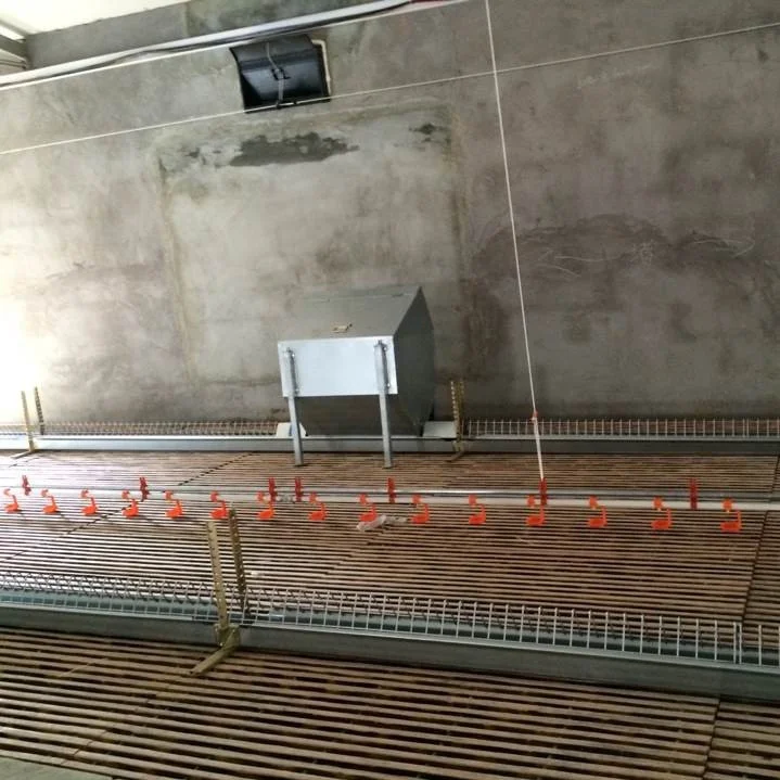 Poultry Automatic Feeder Chain Feeding System for Broiler and Breeder Hens
