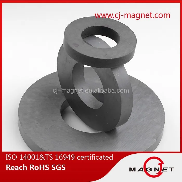 Subwoofer Ferrite Magnet