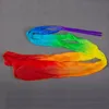 Arco IRIS