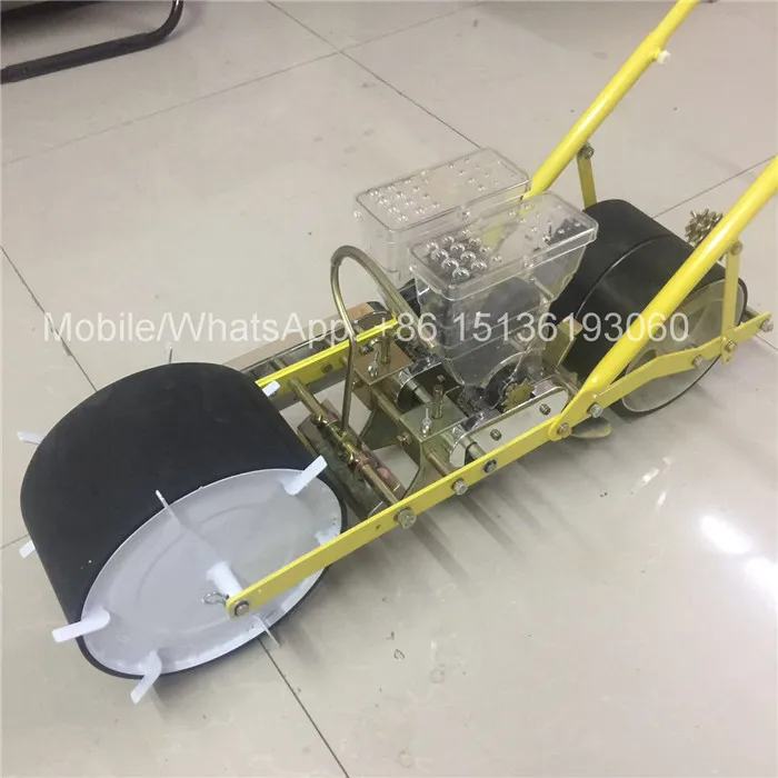 Семена овощей и моркови