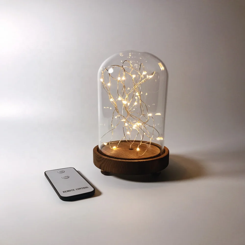 Mini Led String Light Glass Cloche Dome Led With Remote Control