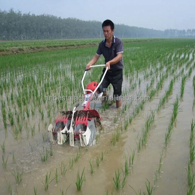Gasoline Grass Cutter Machine in Philippine / Weeding Cutting Machine for Rice Field