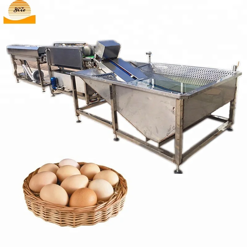 Automatic Duck Eggs Washing Machine with Stainless Steel