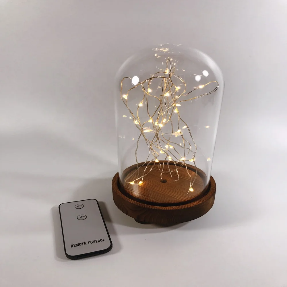 Mini Led String Light Glass Cloche Dome Led With Remote Control