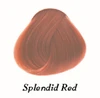 rosso splendido