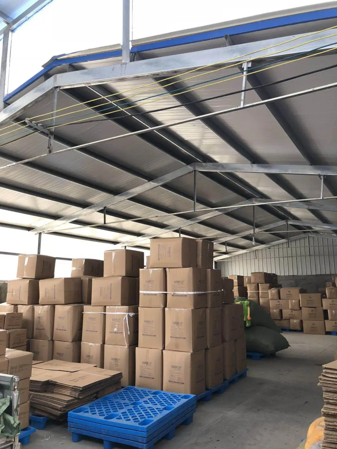 Anhui RON.VE.XIN International Trade Co., Ltd. 1