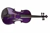 Viola