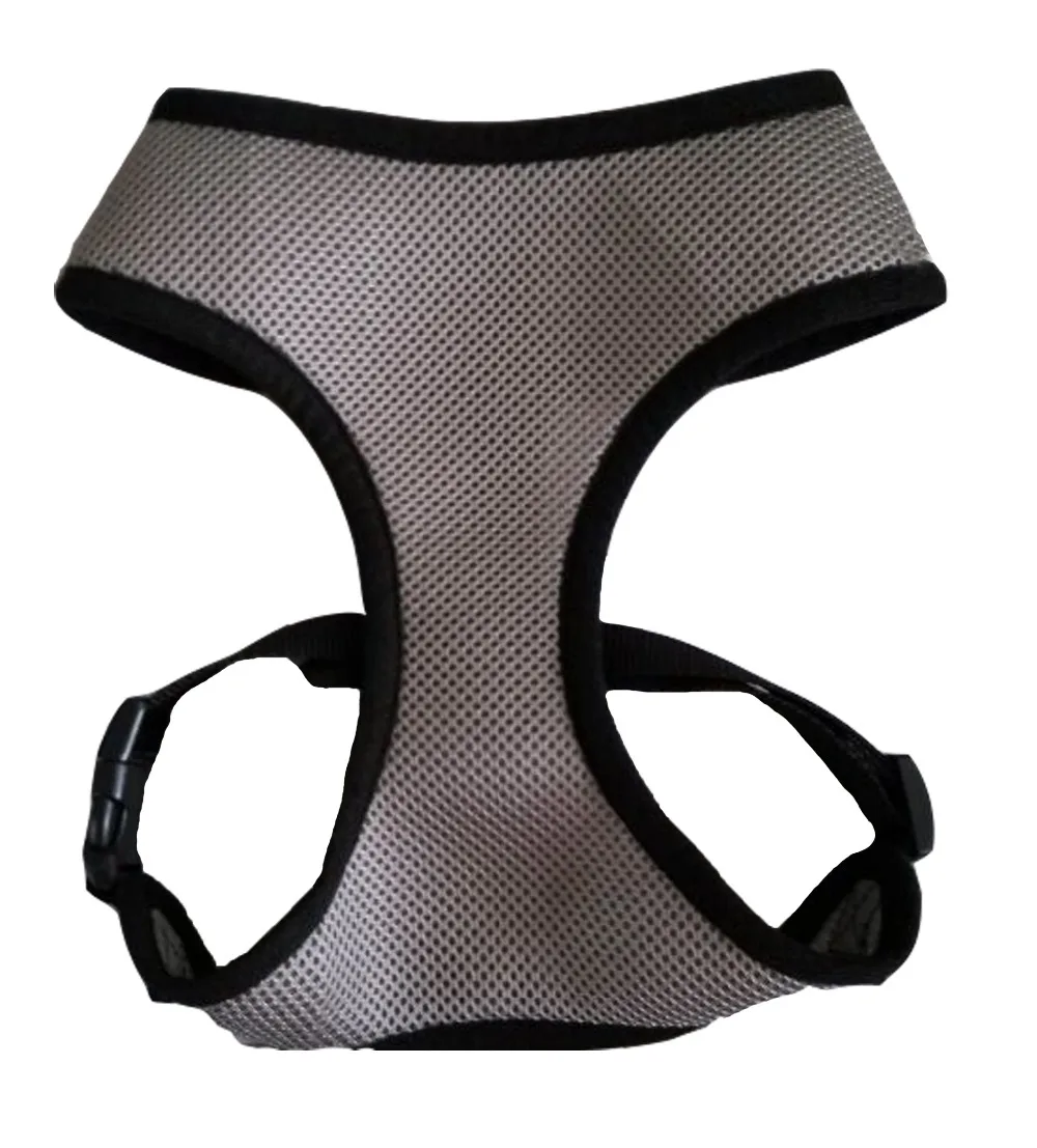 dachshund harness uk