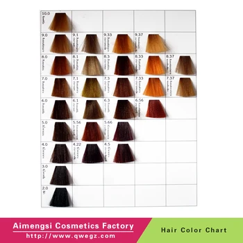 OEM Custom Color Model Vertical Hairdressing Salon Chart - China Hair Color  Chart and Hair Dye Color Chart price