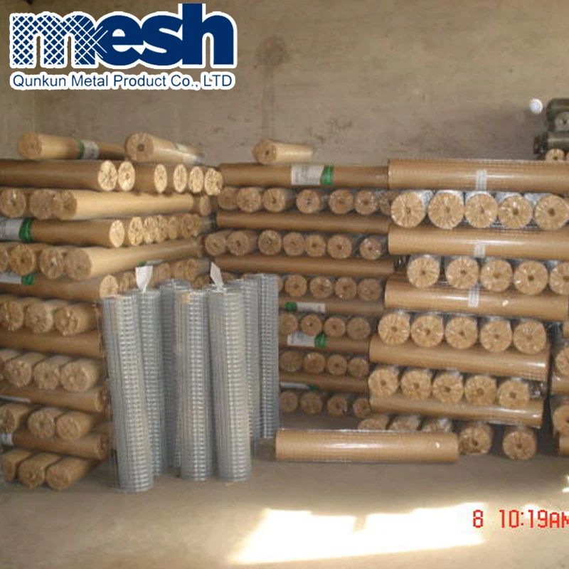 1x1 Galvanized Welded Wire Mesh Square Hole Shape for Bird Cages-Made of Galvanized Iron Wire