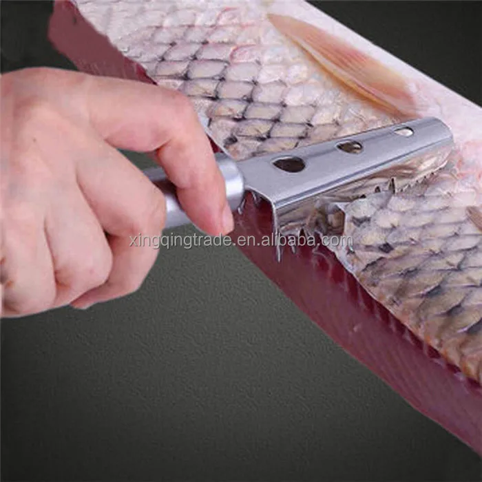 greenwoodhomer All Plastic Fish Squame Remover Cleaner Skinner Scaler con tappo per la pulizia veloce della pelle di pesce Pesce disincrostante plastica utensili da cucina 