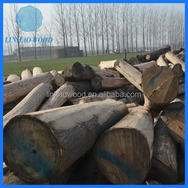 China Paulownia Wood Logs