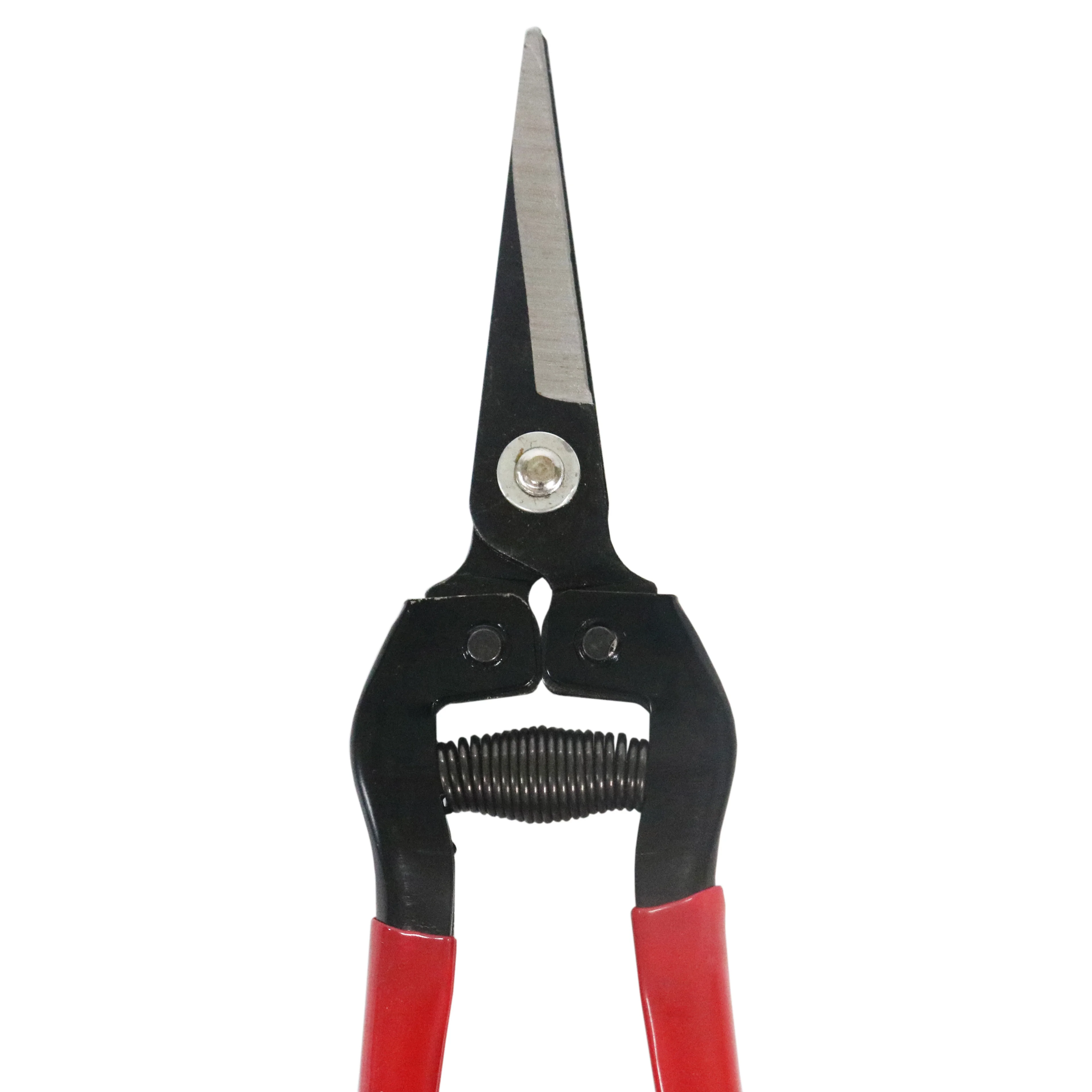 Garden Pruning Scissors With Rubber Coated Handle Plant Scissors Buy