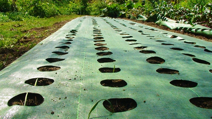 mulch-banner