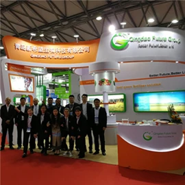 Qingdao Future Group 3