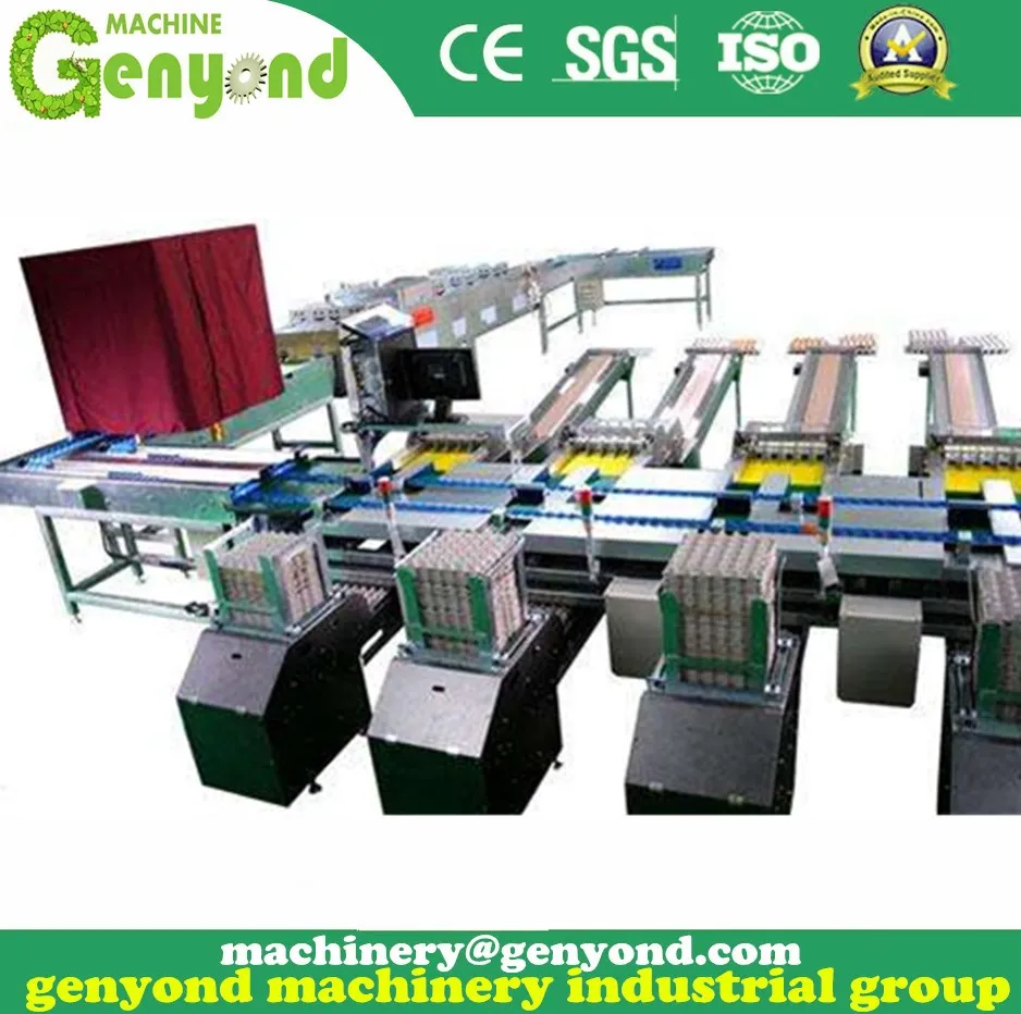 Brand New Automatic Egg Sorting Machine